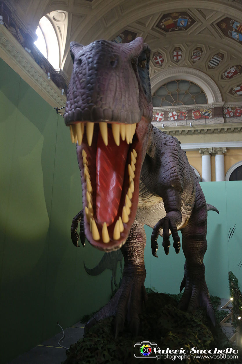 VBS_0977 - Dinosauri. Terra dei giganti.jpg
